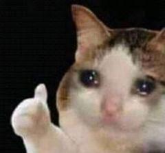 Approved crying cat meme template