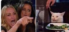 Cat at table meme template