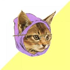 Hipster Kitty meme template