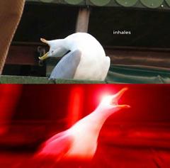 Inhaling Seagull meme template