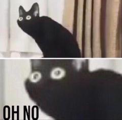 Oh no cat meme template