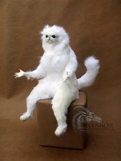 Persian Cat Room Guardian Single meme template