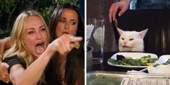 Smudge the cat meme template