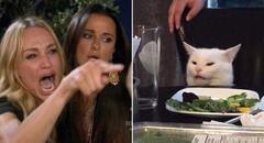 Woman Pointing at Cat meme template