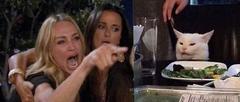 woman yelling at cat meme template