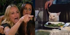 Woman yelling at cat meme template