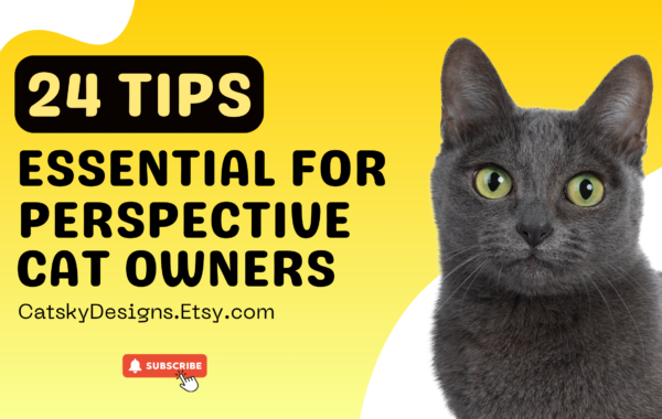 24 Essential Tips For Perspective Cat Owner
