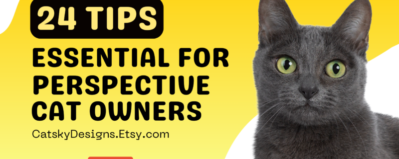 24 Essential Tips For Perspective Cat Owner