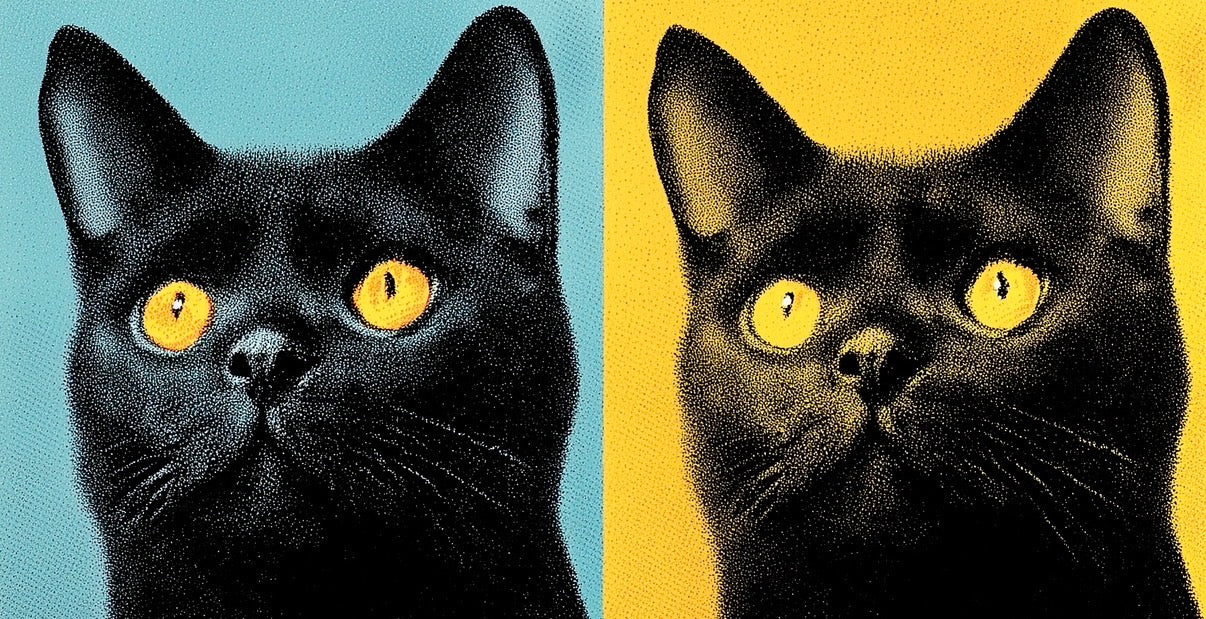 Catsky Art Gallery Wall